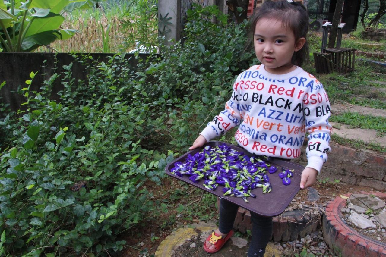Maison Teahouse Homestay Ha Giang Luaran gambar