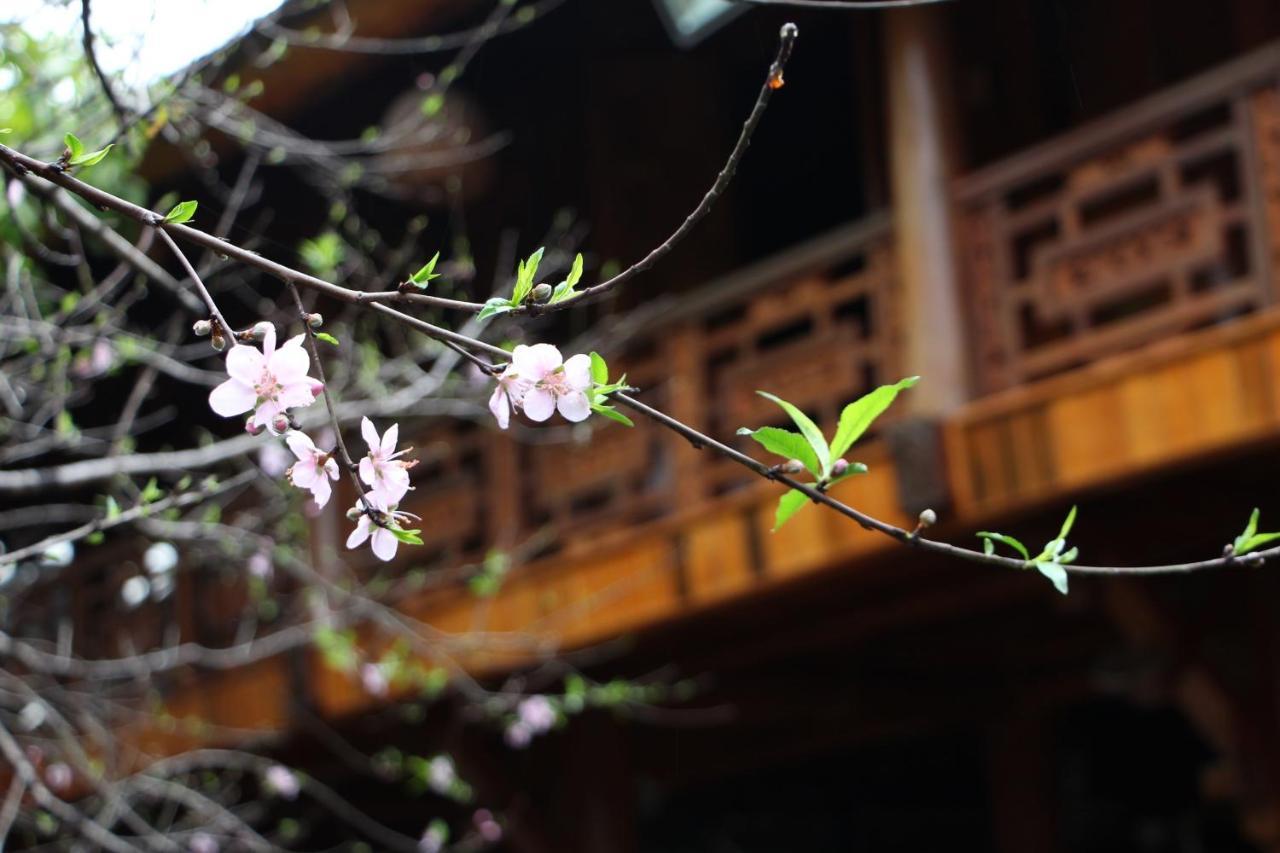 Maison Teahouse Homestay Ha Giang Luaran gambar