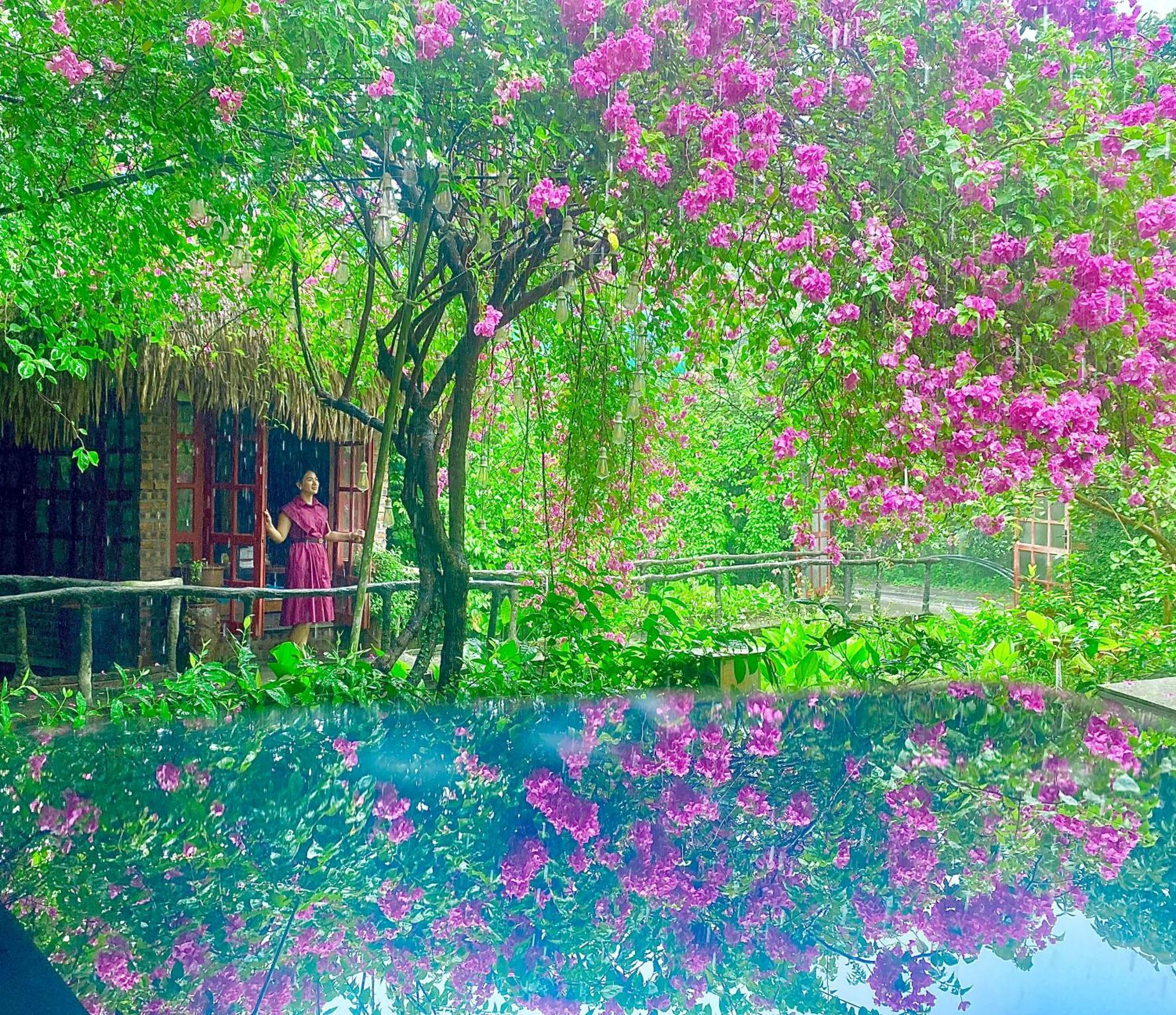 Maison Teahouse Homestay Ha Giang Luaran gambar